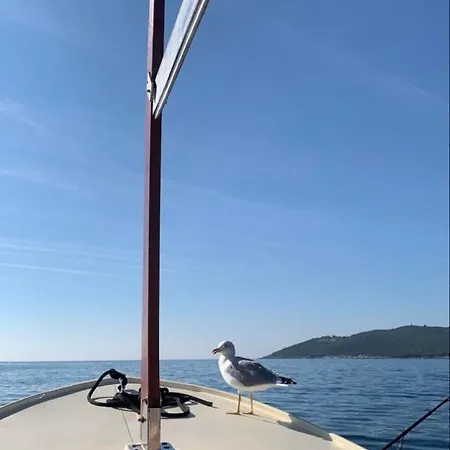 Mobile - Alpha Campers Montenegro - Our Red Westfalia Bus Vakantiehuis Podgorica