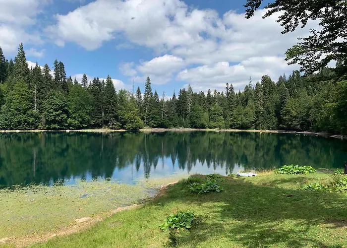 Mobile - Alpha Campers Montenegro - Our Red Westfalia Bus *