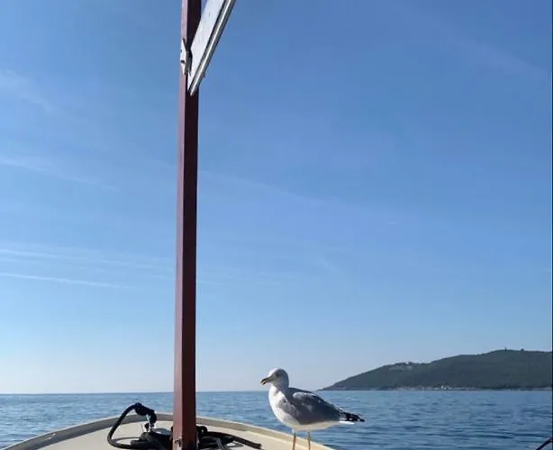 Mobile - Alpha Campers Montenegro - Our Red Westfalia Bus Holiday home Podgorica